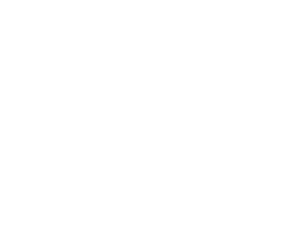 transport-for-wales-white